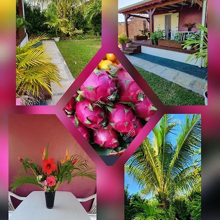 Les Cottages De Roseau كابستر-بيل-أو المظهر الخارجي الصورة