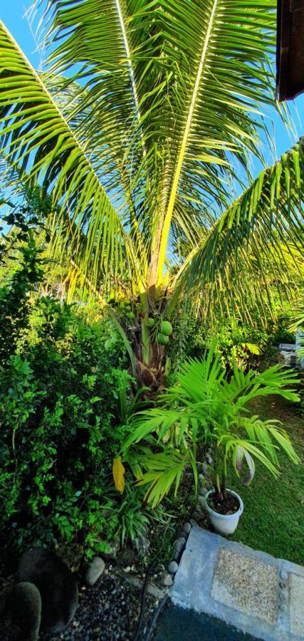 Les Cottages De Roseau كابستر-بيل-أو المظهر الخارجي الصورة