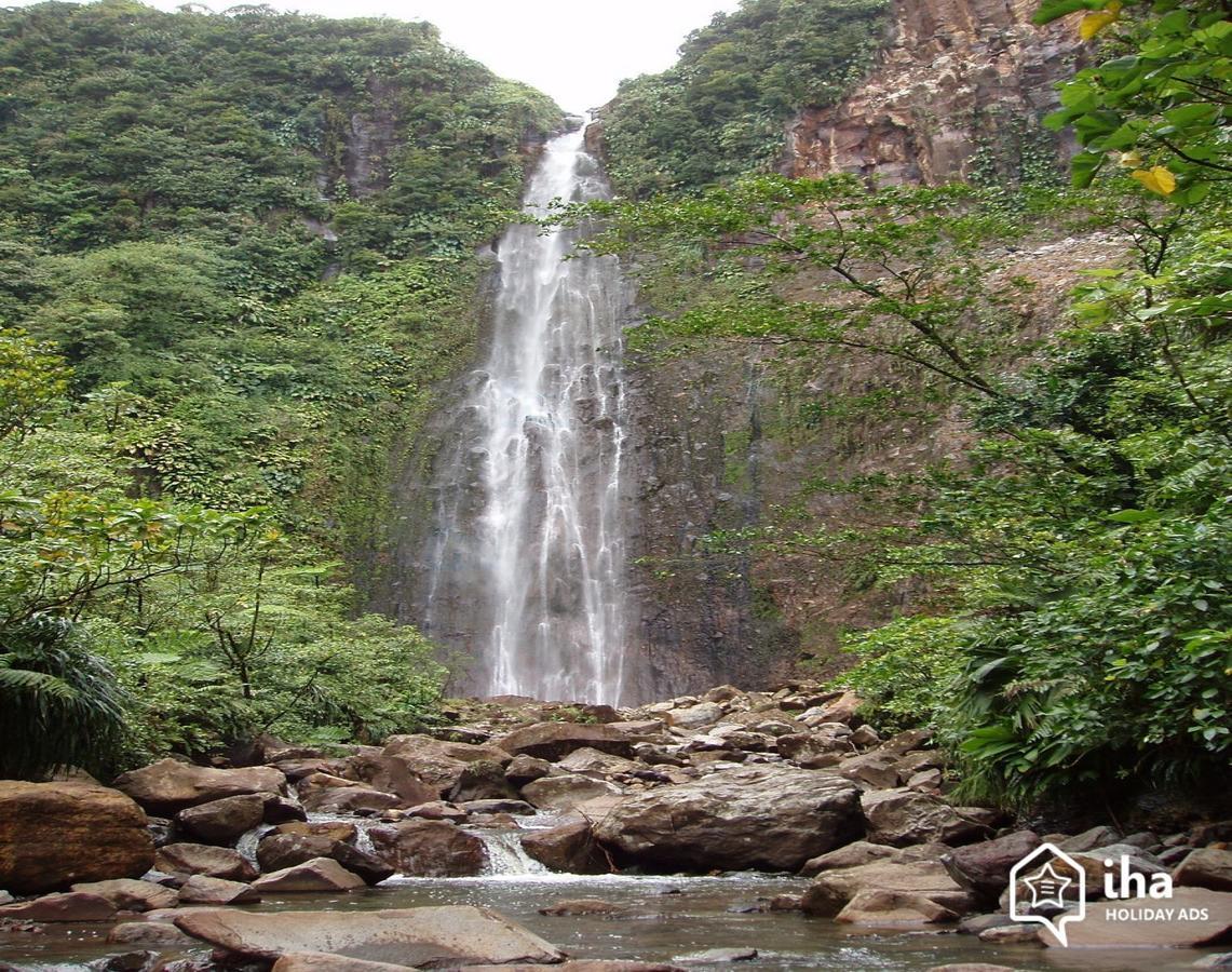 Les Cottages De Roseau كابستر-بيل-أو المظهر الخارجي الصورة